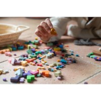 Sorteerblokjes | Grapat | Mis match and bloom | 400-delig