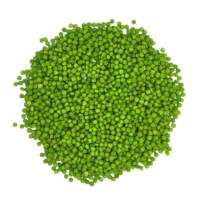 Color dots | Grennn | Groen | 300 gram