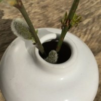 Steengoedglazuur | Botz | Weiß glänzend | 98768 | 800 ml