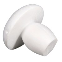 Tempex | Paddenstoel | 13 cm