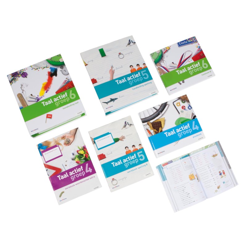 Spellingwerkboek 4B, Taal actief